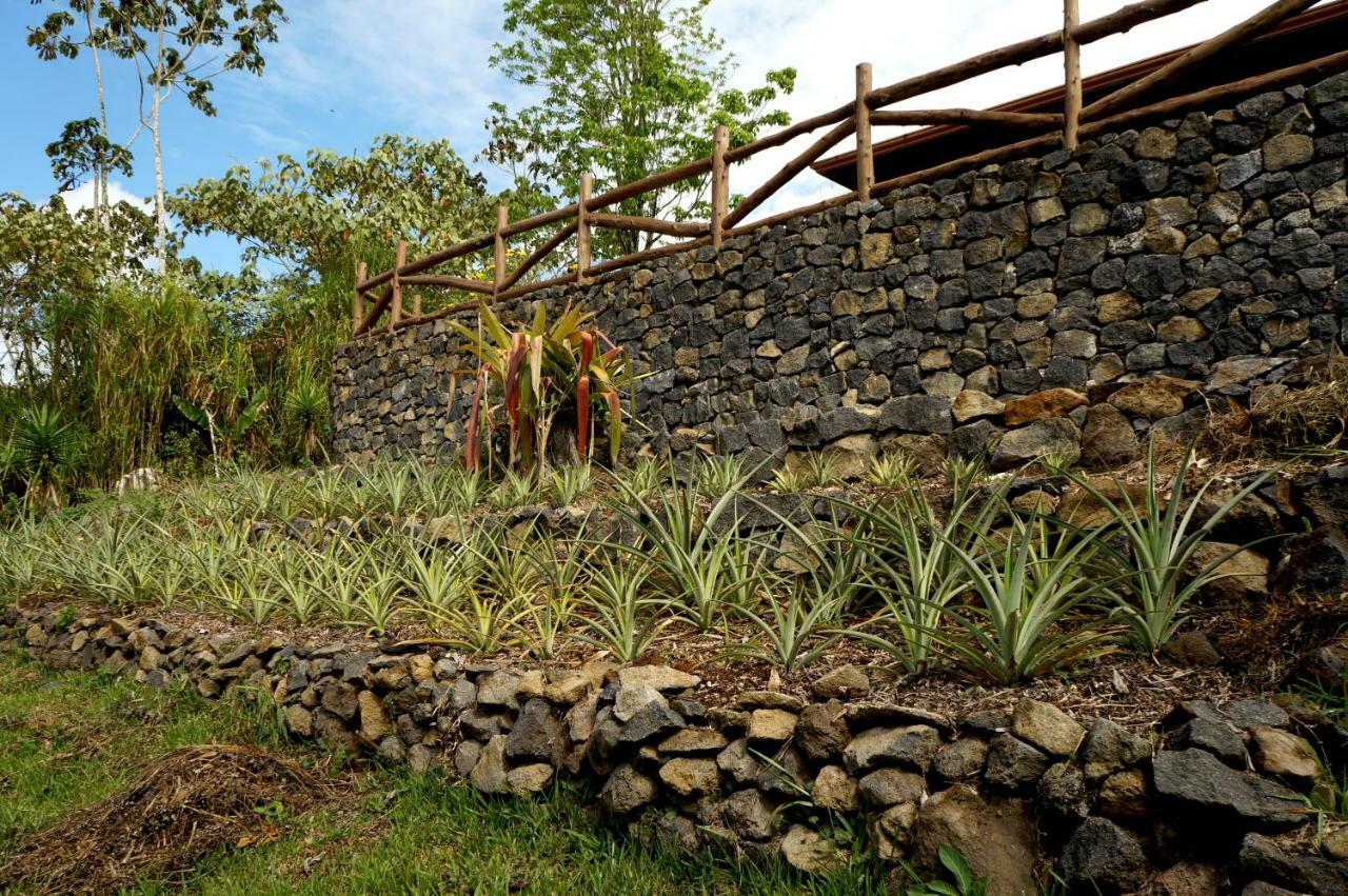 Bed and Breakfast Finca Estacion Descansos Paraiso  Екстер'єр фото